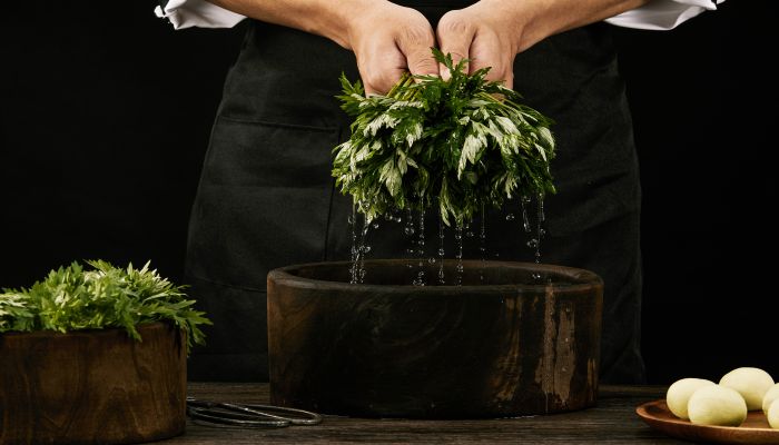 做梦梦见吃野菜是什么意思 做梦梦见吃野菜是什么预兆