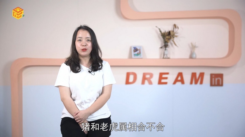 猪和老虎属相合不合，详细解释