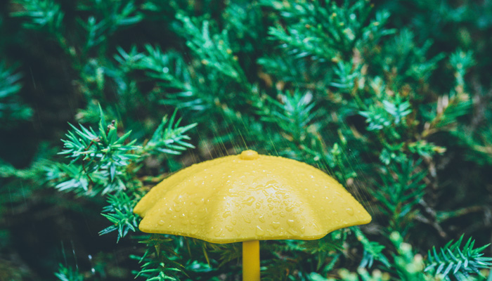 女人做梦梦见下雨走泥泞路