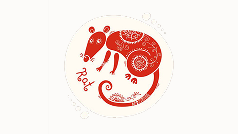 属马能不能生鼠宝宝，标准答案