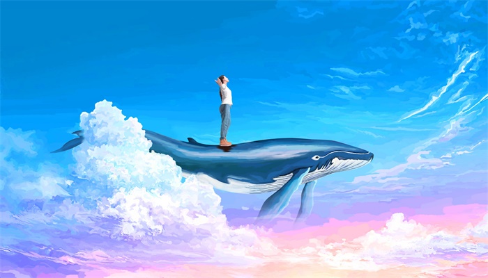 做梦梦见鱼在天上飞