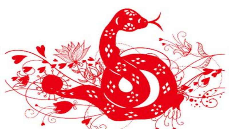 2013年属什么生肖几岁，标准答案