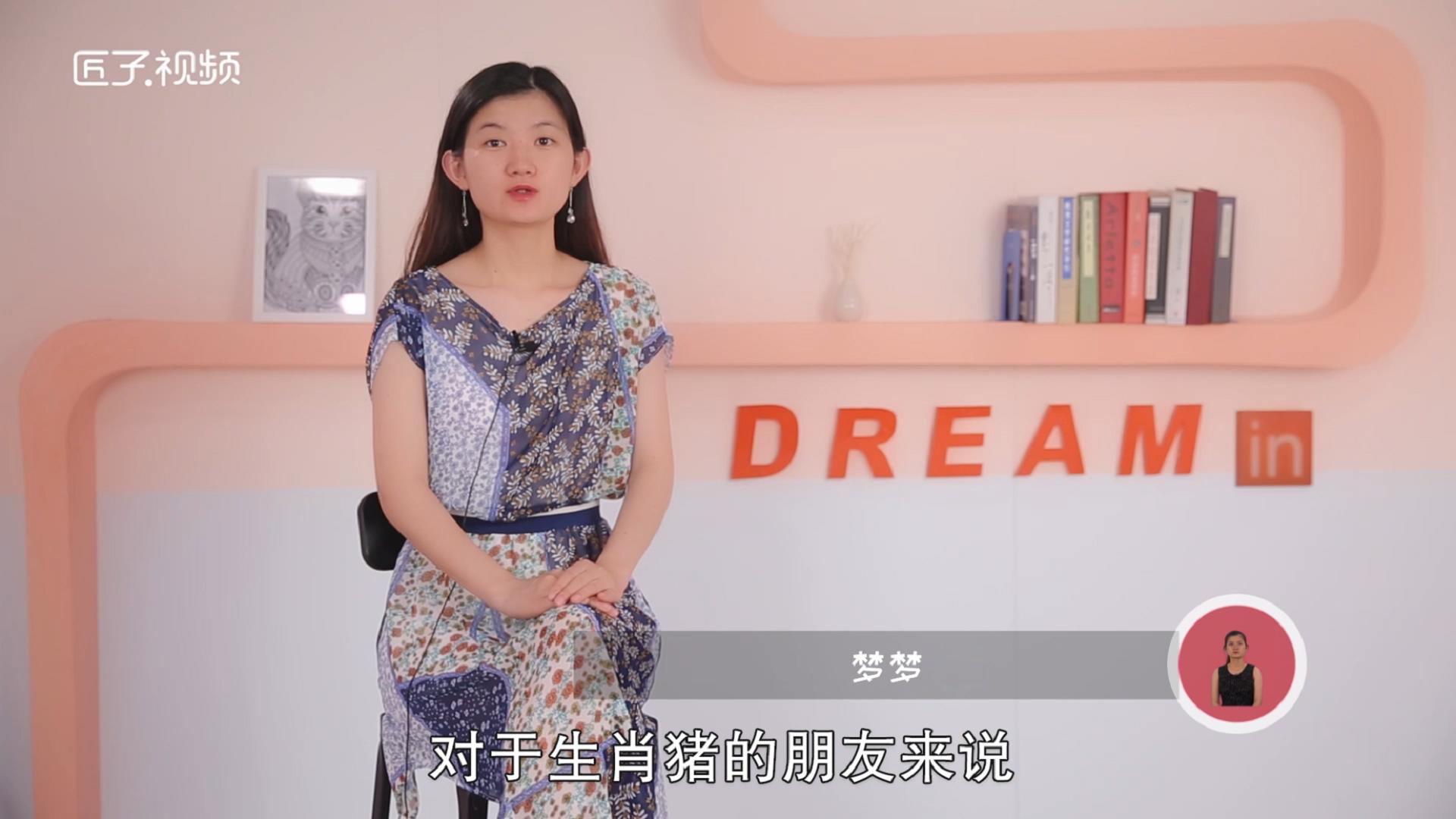 2020属猪的运势和财运，详细解释