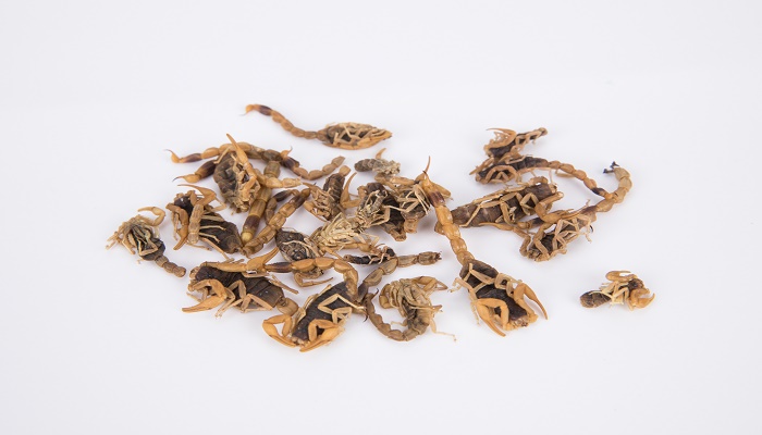做梦梦见捉蝎子