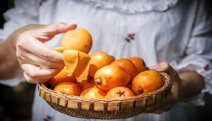 做梦梦见吃枇杷是什么意思 做梦梦见吃枇杷是什么预兆
