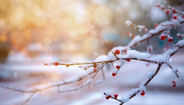 孕妇做梦梦见下雪