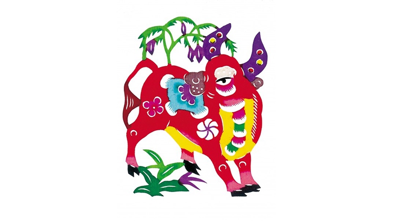 男马和女牛属相合不合，最多人赞同的观点