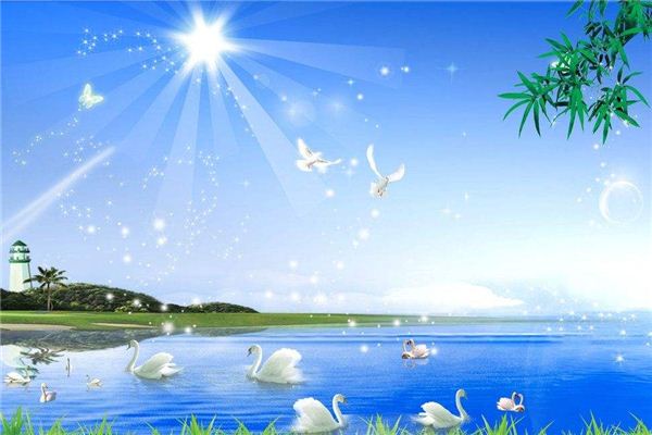 做梦梦见太阳里面有字