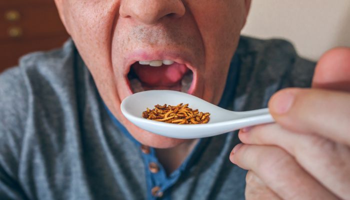 做梦梦见小孩吃虫子是什么意思 做梦梦见小孩吃虫子是什么预兆