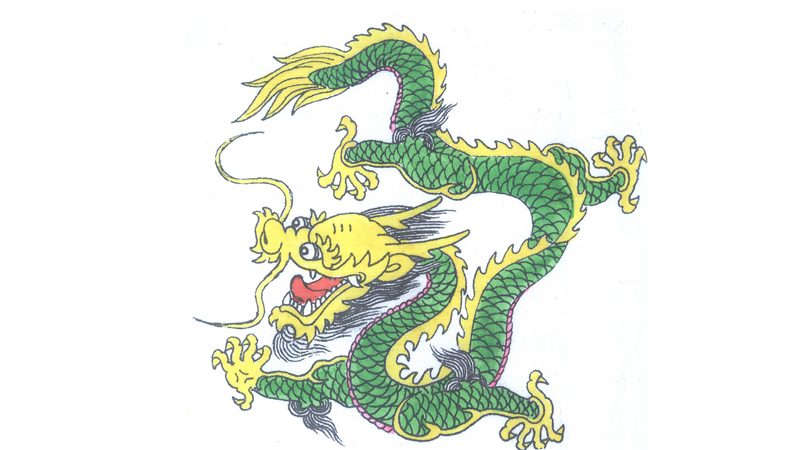 蛇和龙相冲吗，标准答案
