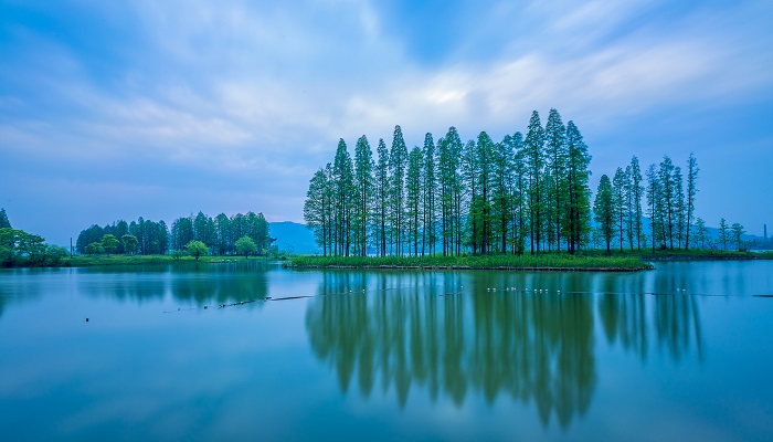 做梦梦见湖水