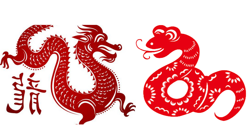 2001年属什么生肖几岁了，详细解释