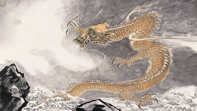 属羊属龙能不能在一起，详细解释