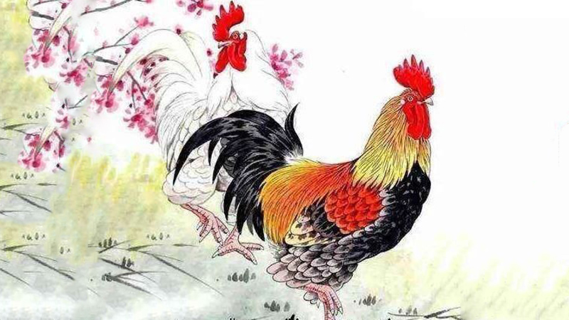 属鸡男和属狗女的适合做夫妻吗，详细解释