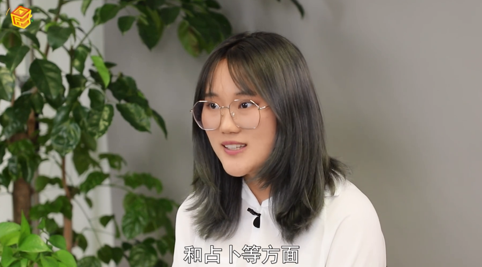 火肖是哪几个生肖，详细介绍