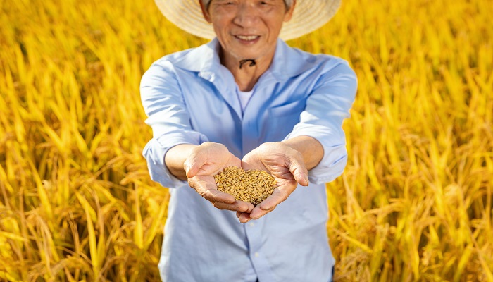 梦到去世的爷爷又去世了怎么回事