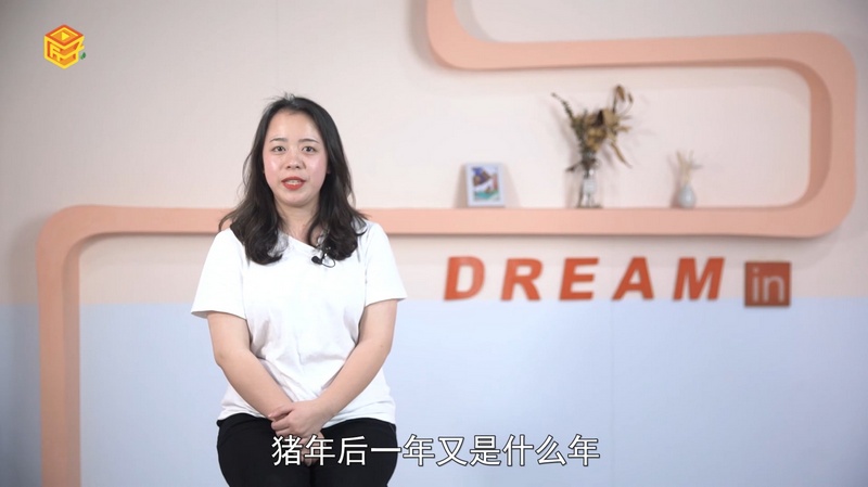 猪年后一年是什么年，最多人赞同的观点