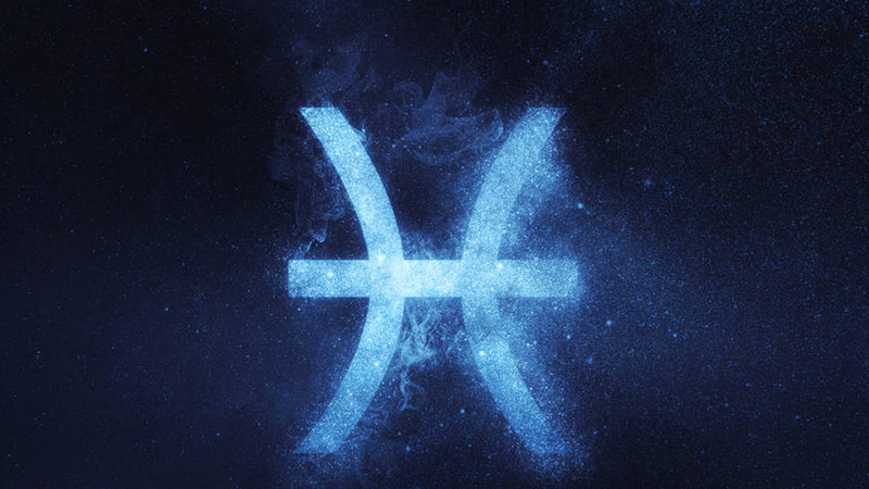 哪个星座最喜欢摩羯座详细解释
