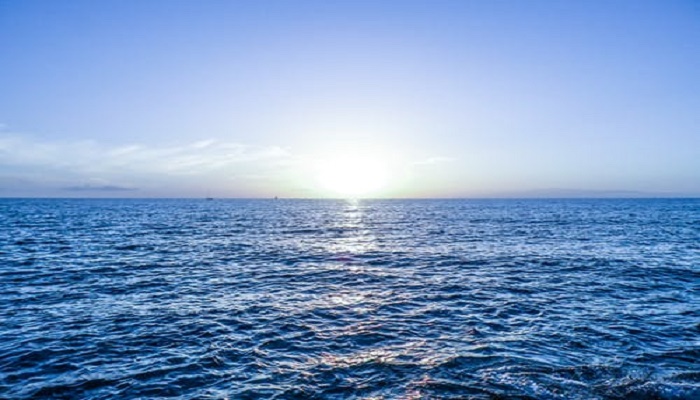 做梦梦见海浪很高很大向自己扑来