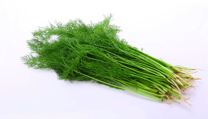 做梦梦见茴香是什么意思 做梦梦见茴香有什么预兆