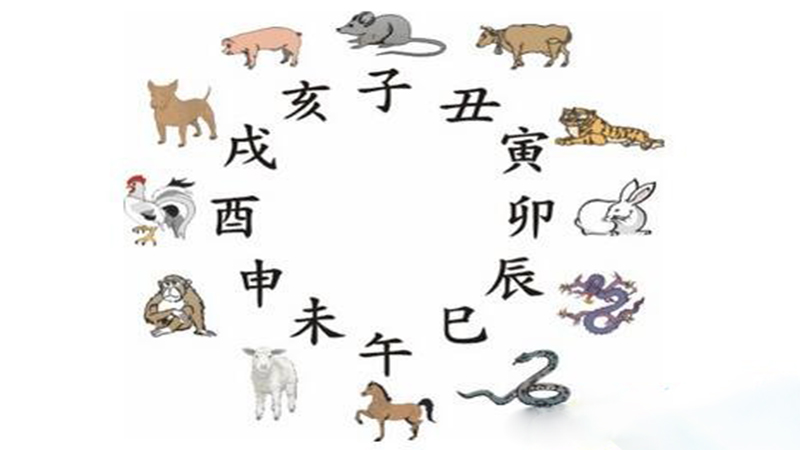 属鸡的跟属马的相配吗，详细介绍