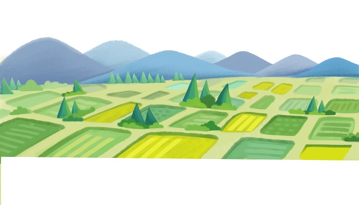 做梦梦见菜圃是什么意思 做梦梦见菜圃有什么预兆