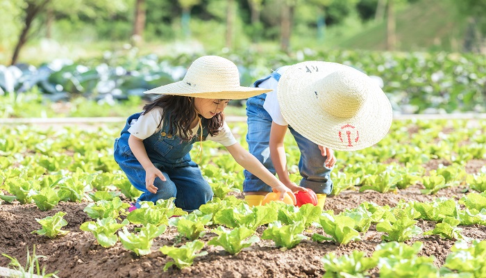 做梦梦见自己同时抱着两个小孩