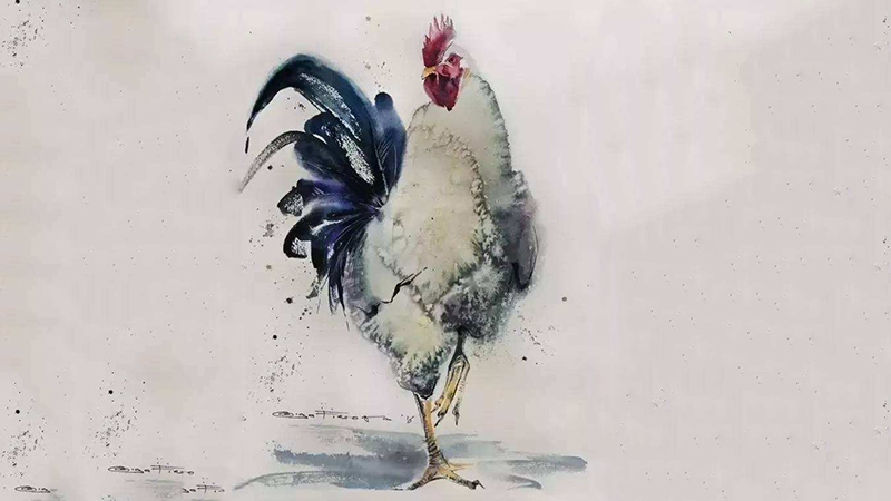 属鸡与属兔合不合，详细介绍