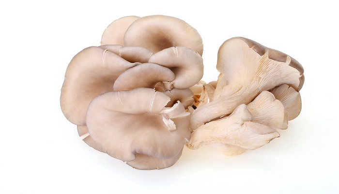 梦到捡蘑菇是什么意思呢