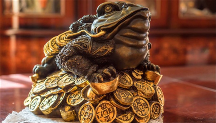 做梦梦见自己抓了好多活的金蝉