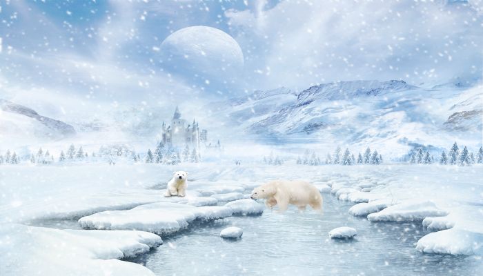 做梦梦见下雪 下大雪是什么意思 做梦梦见下雪 下大雪有什么预兆