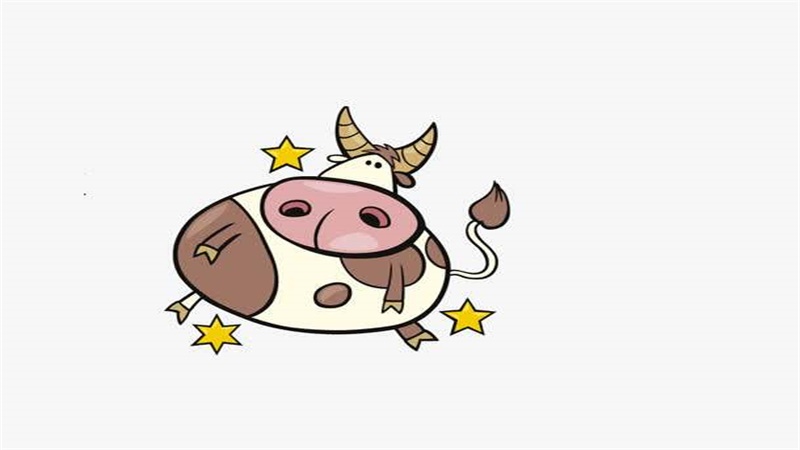 属兔和属牛的合不合，最佳答案