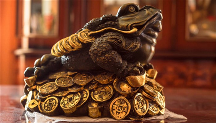 做梦梦见自己抓了好多活的金蝉
