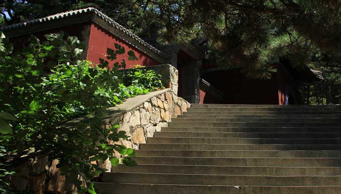 梦到寺庙意味着什么
