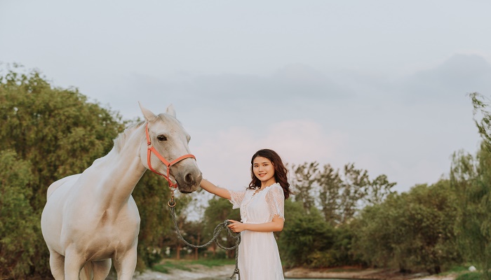 女人做梦梦见非常漂亮的白马
