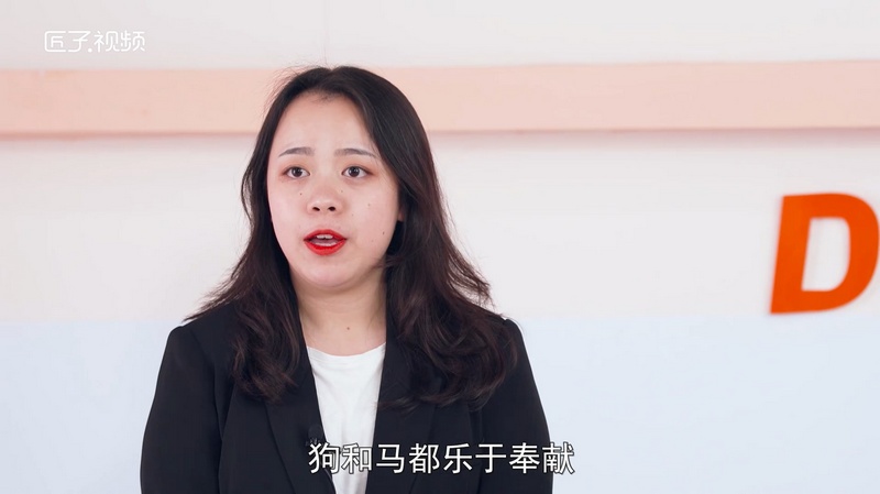 属狗和什么属相最配，详细解释