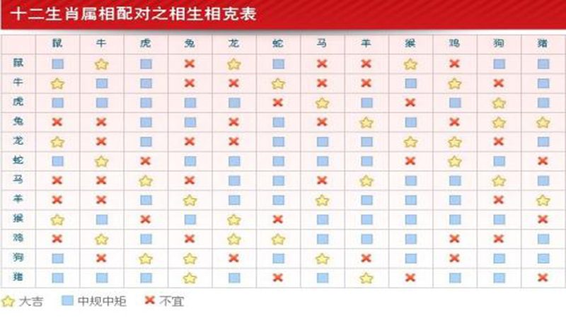 属猪跟属马的合不合，详细解释
