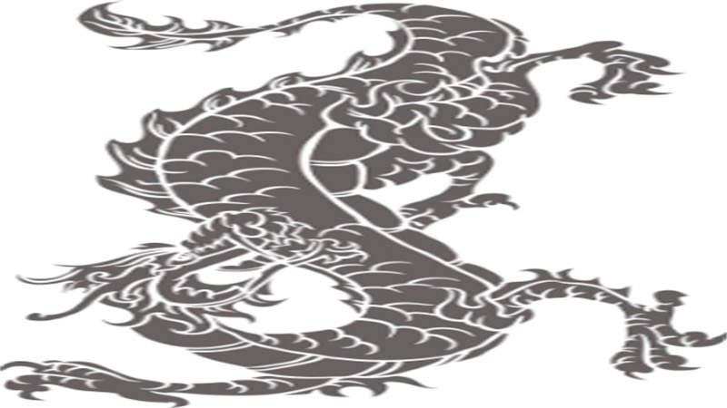 属虎和属龙的属相合不合，详细介绍