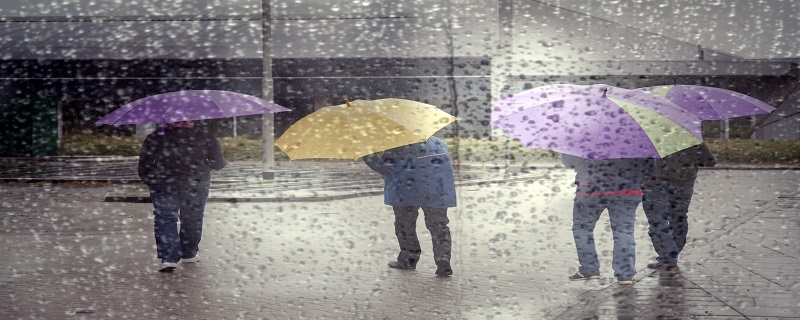 做梦梦见下大雨