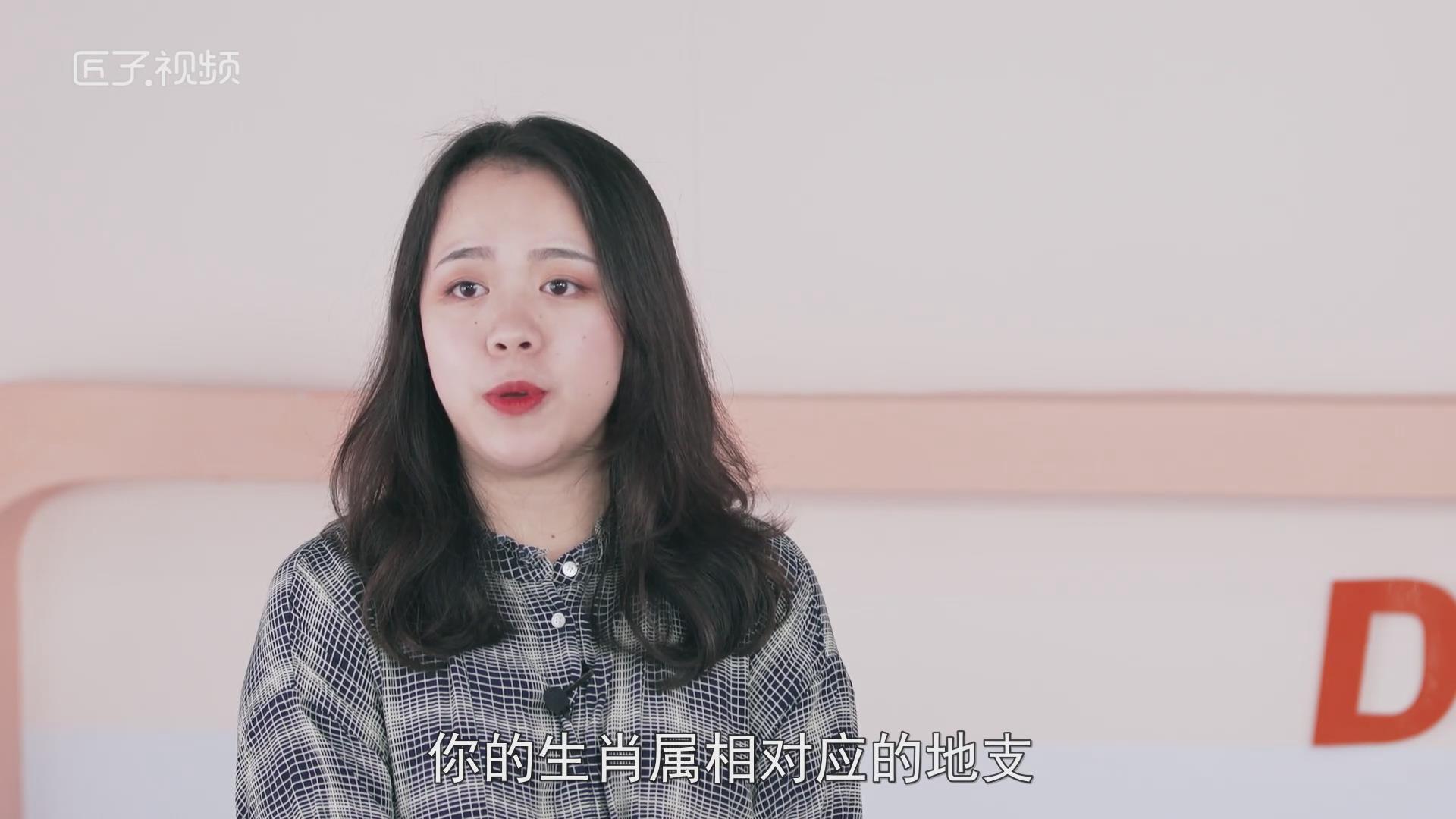 猪年哪个属相犯太岁，详细解释