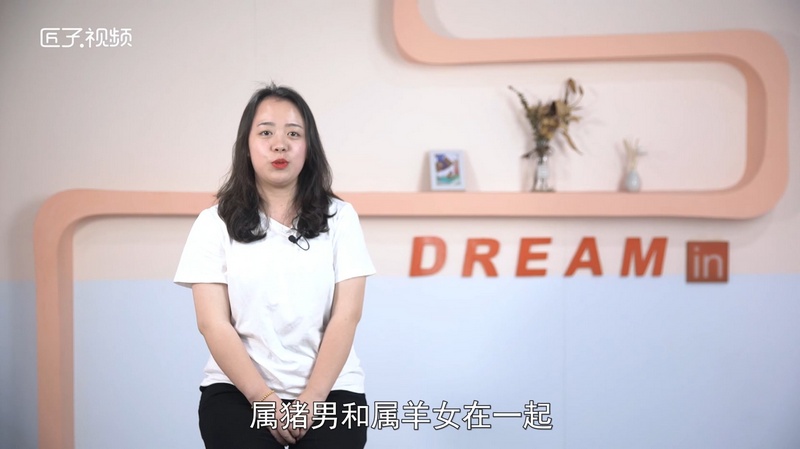 猪和什么合，最佳答案
