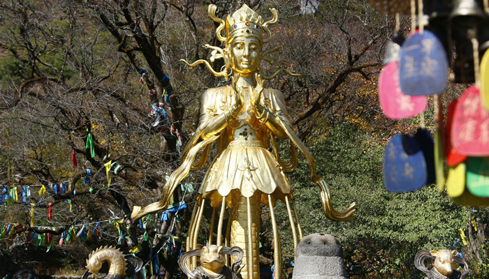 做梦梦见好几个不同神像