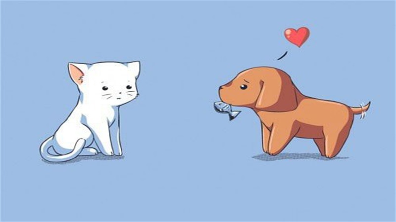 狗和猴的属相合不合，最多人赞同的观点