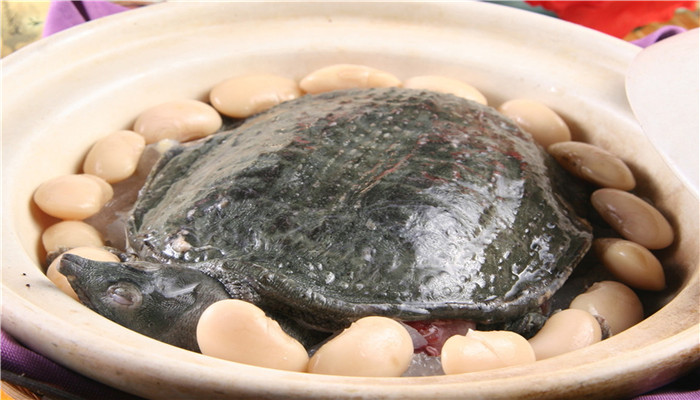 做梦梦见吃甲鱼是什么预兆