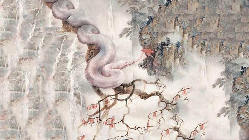 鸡蛇属相合吗，标准答案