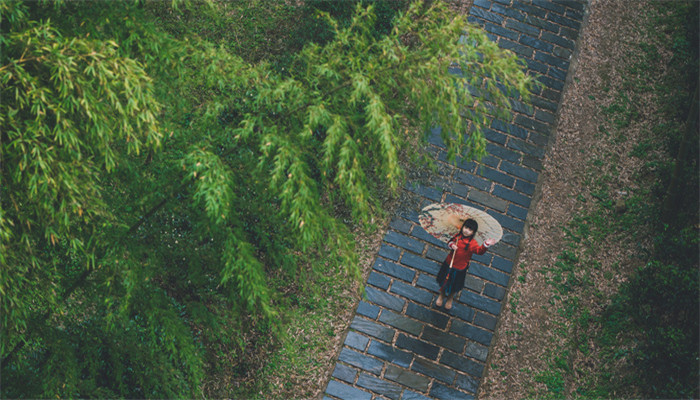 做梦梦见自己冒着大雨前行