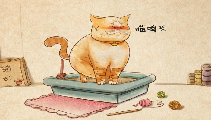 做梦梦见自己拉大便弄手上是什么意思 做梦梦见自己拉大便弄手上有什么预兆