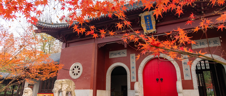 女人做梦梦见去寺庙拜佛