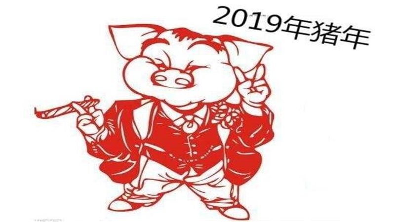 95年属猪本命年运势，最佳答案