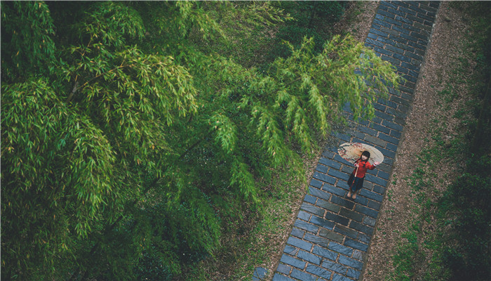 做梦梦见下大雨是什么预兆